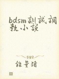 bdsm训诫调教小说
