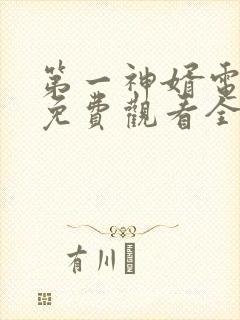 第一神婿电视剧免费观看全集高清