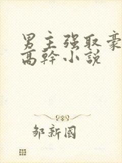 男主强取豪夺的高干小说