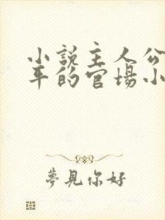 小说主人公叫周平的官场小说