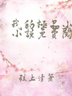 我的极品小姨的小说免费阅读