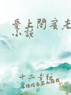 爱上闺蜜老公的小说