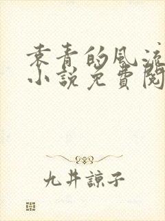 袁青的风流人生小说免费阅读