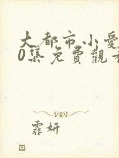 大都市小爱情40集免费观看