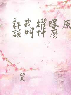 许我耀眼原著小说叫什么