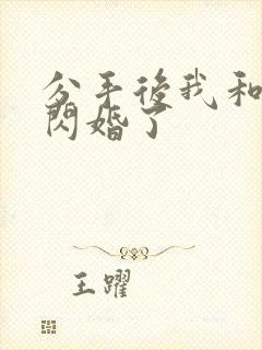 分手后我和首富闪婚了