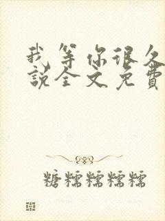 我等你很久了小说全文免费阅读