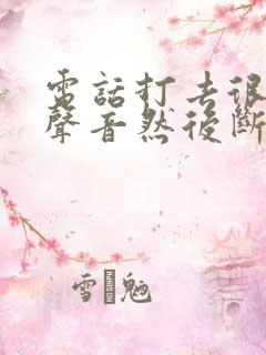 电话打去很久没声音然后断了