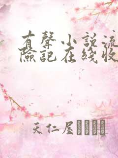 有声小说流氓遇险记在线收听