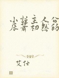 小说主人公叫叶辰萧初然的小说名