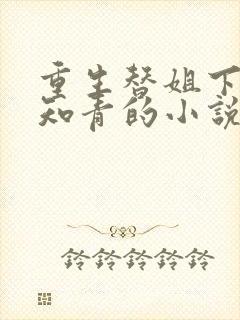 重生替姐下乡当知青的小说