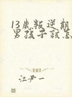 13岁叛逆期的男孩子该怎样去沟通教育