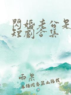 闪婚老公是豪门短剧合集