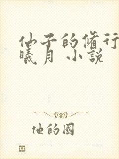 仙子的修行 萧曦月 小说