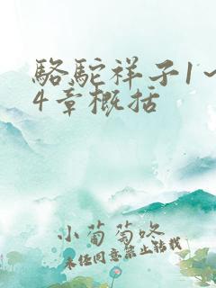 骆驼祥子1～24章概括