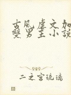古风虐文加虐身双男主小说