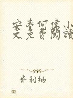 安梦何伟小说全文免费阅读最新章节