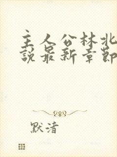 主人公林北的小说最新章节