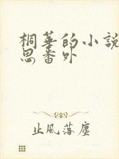 桐华的小说长相思番外