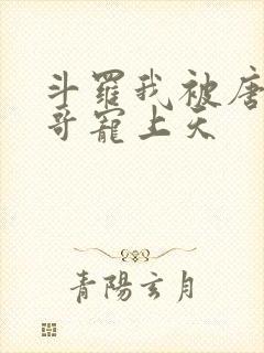 斗罗我被唐三哥哥宠上天