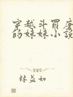 穿越斗罗唐舞桐的妹妹小说