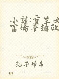 小说:重生女首富娇养摄政王