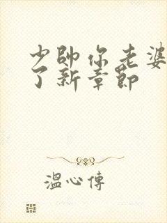 少帅你老婆又跑了新章节