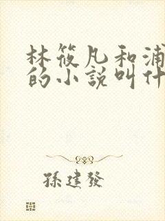 林筱凡和浦应辛的小说叫什么名字