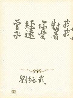 曾经你对我说你永远爱着我是什么歌