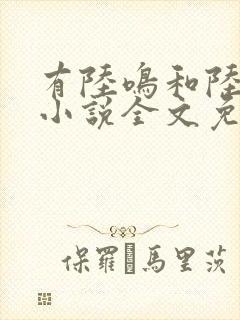 有陆鸣和陆瑶的小说全文免费阅读