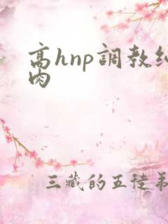 高hnp调教纯肉