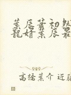 叶辰萧初然上门龙婿叶辰最新