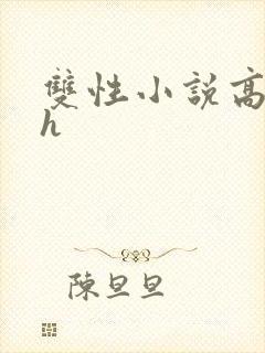 双性小说高肉高h