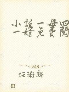 小说一母四女共一婿免费阅读