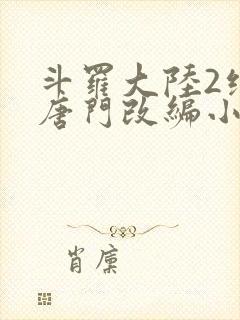 斗罗大陆2绝世唐门改编小说