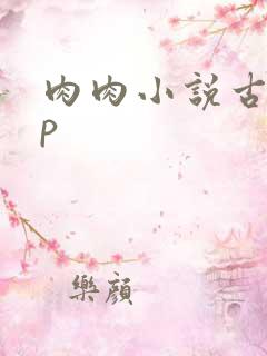 肉肉小说古言np