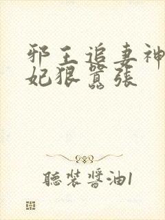 邪王追妻神医狂妃狠嚣张