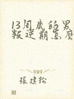 13周岁的男孩叛逆期怎么办