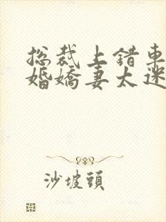 总裁上错车,闪婚娇妻太迷人夏末小说免费读