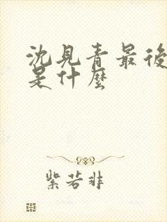 沈见青最后结局是什么