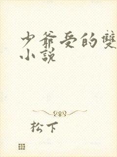 少爷受的双男主小说