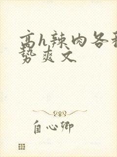 高h辣肉各种姿势爽文