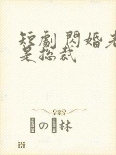 短剧 闪婚老公是总裁