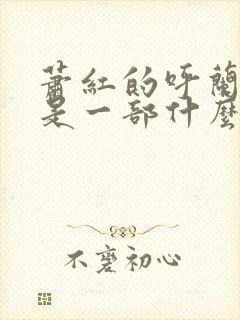 萧红的呼兰河传是一部什么小说