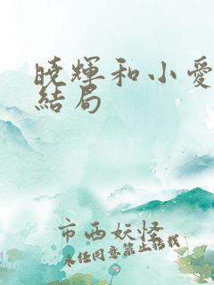 晓辉和小爱最后结局