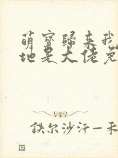 萌宝归来我的爹地是大佬免费