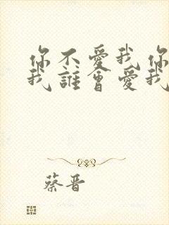 你不爱我你不爱我谁会爱我什么歌