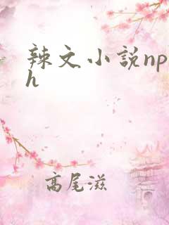 辣文小说np高h