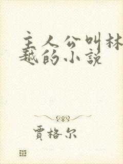 主人公叫林枫穿越的小说