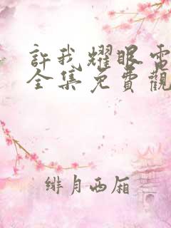 许我耀眼电视剧全集免费观看第23